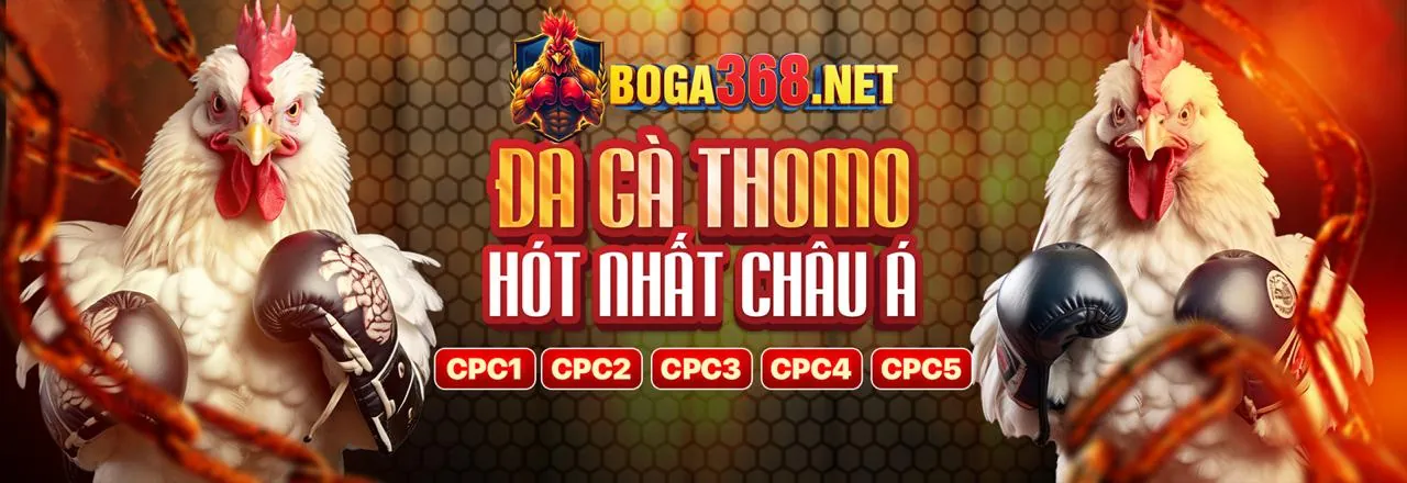 Cá cược Thể Thao W688