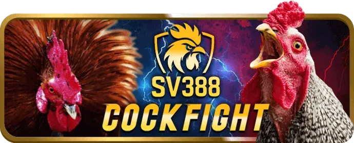 Điền thông tin đăng ký w688